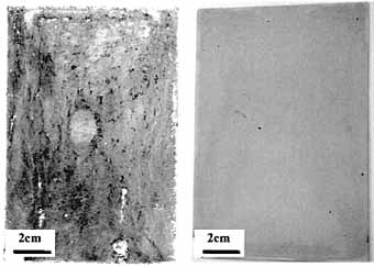 Fig. 9. Optical image of the exposed surface of AZ91D (left) and AZ91D coated with 35µm Keronite coating (right) after 1000 hours of salt spray (ASTM B117) test