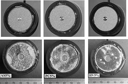 Fig.6. Surface of the coated specimens with 5% holiday (top) before test; and (bottom) after 31 days of immersion in aerated 3.5wt% NaCl solution, 22-25°C, pH 7.9-8.2 