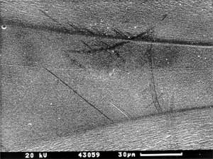 Fig.2b) Scanning electron micrograph of flow region in etched weld 126