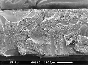 Fig.5a) Scanning electron micrograph of tensile fracture surface