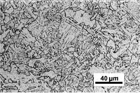 Grade 450EMZ microstructure