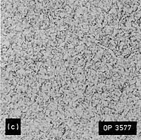  c) Low dilution, reheated. Note: AC =ferrite with aligned second phase; AF=acicular ferrite; GF=grain boundary ferrite