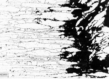 Fig.12. Pitting attack in ferric chloride associated with intermetallic formation in a superduplex stainless steel