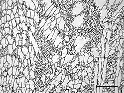 Fig.1. Photomicrographs showing the microstructures of parent materials a) M1, Grade 5, forging 