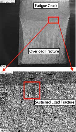 Fig.4. Scanning electron images showing the fracture face morphology of a SENB test specimen, of parent metal M4, postweld heat treated at 650°C for one hour. 15kV secondary electron image, nominal magnification scales shown