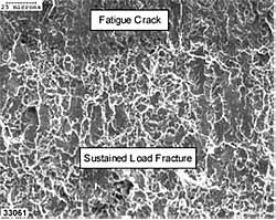 4c) as in b, but at greater magnification.