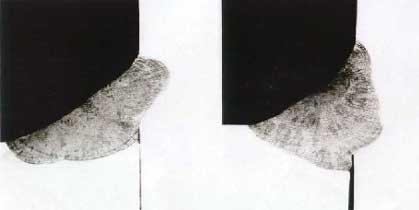 Fig.6. General appearance of the weld and section showing the depth of penetration for a face weld in a tube to tubeplate component produced using the PATIG-SA activating flux