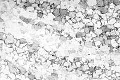 Fig.15. Microstructural bending in TMAZ weld region, showing banded two phase martensite and ferrite structure (12% chromium alloy steel weld)