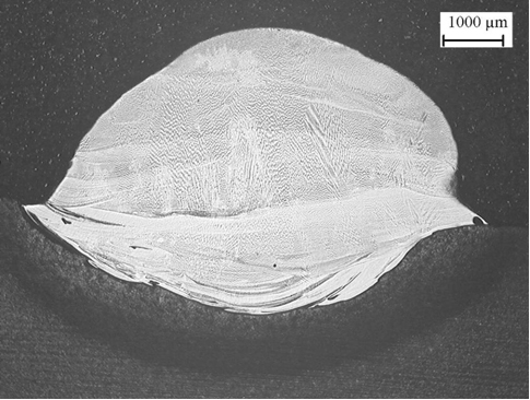 Macrophotograph, showing overall microstructural features