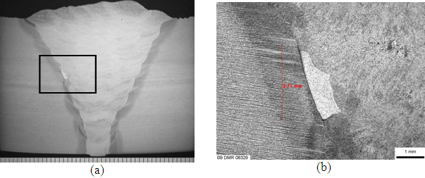 Photomacrographs showing the cross section of realistic LOSWF defects obtained by a metallic insert