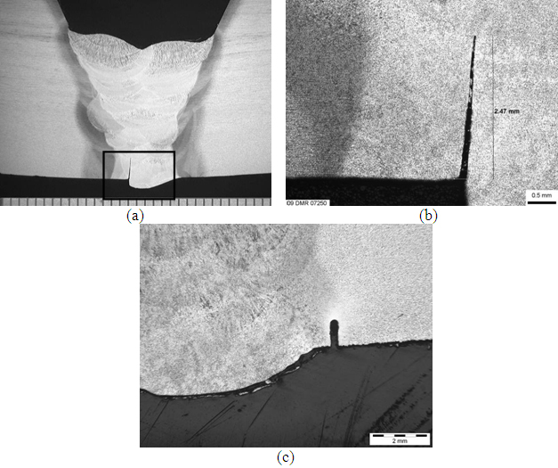 Photomacrographs showing the cross sections of realistic lack of root fusion defects