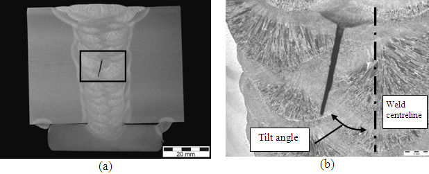 Photomacrographs showing the cross sections of defects obtained by EDM, showing the tilt angle