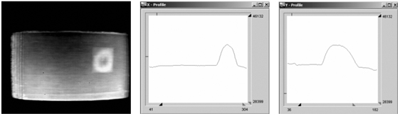 Figure 2: Thermogram and representative line profiles of the investigated composite panel