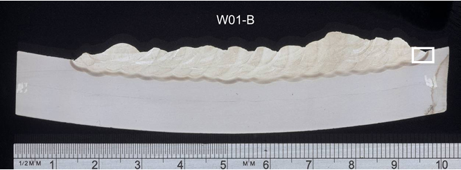 (b) W01-B: appearance after second layer (SMAW electrode ø4.0mm)
