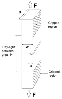 Fig.1 An 'over-square' SENT test specimen showing B (equal to twice the material thickness) and W (equal to the material thickness).