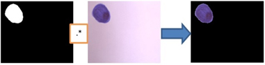 Figure 4 - Image conditioning to perform colour analysis. On top illustration of MATLAB element by element multiplication and on bottom the effect on the corresponding images