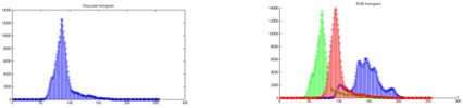 Figure 5 - Histograms plotted in MATLAB. On left the grey level histogram and on right the RGB histogram