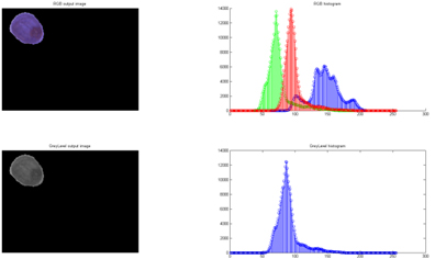 Figure 7 - Colour Analysis for “blue.JPG”