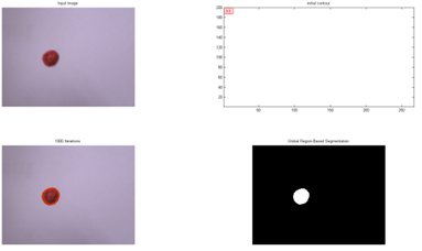 Figure 9 - Segmentation for “red.JPG”