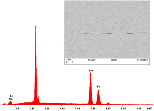 Figure 20. Inclusion analysis showing the elements present in the stringer inclusion indicating a MnS rolled inclusion