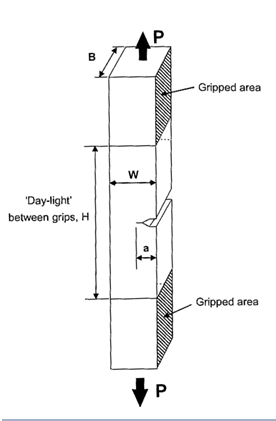 Figure 1 SENT specimen with clamped ends (H=10W)