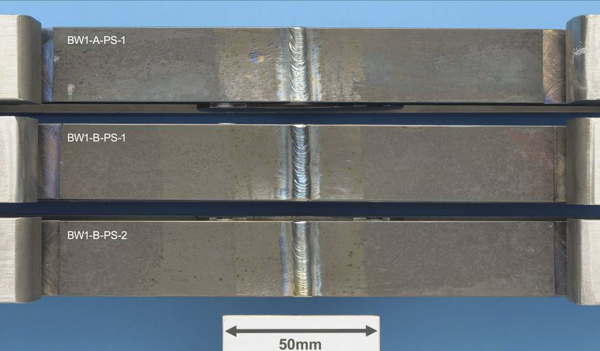 Figure 7: Specimens in bend jigs after exposure from SCC Test 1.