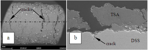 Figure 7: SEM image of (a) cross section of a TSA coated specimen after 235 days of exposure. The stress level was increased to 695 MPa (120% of proof stress) after 187 days at 575 MPa (proof stress). This is the same specimen shown in Fig.6b.