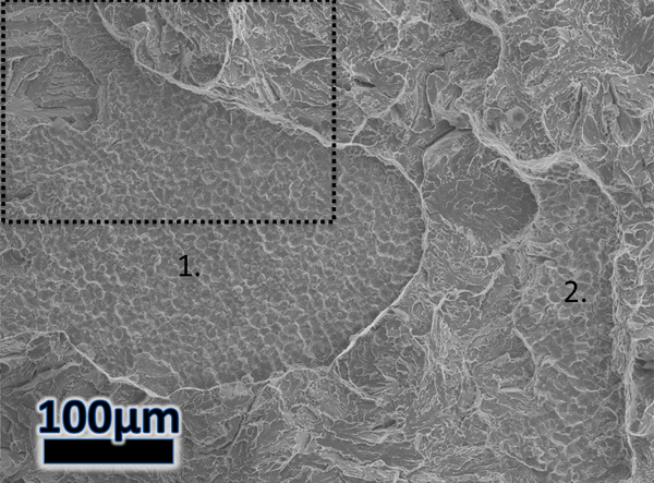 Figure 8 – SEM fractography of the Alloy 625 side of the SENB specimen. The opposing surface to that seen in Fig.5 is outlined. Crater like regions 1 and 2 are seen at different elevations, further towards the Alloy 625 and nearer the steel, respecti