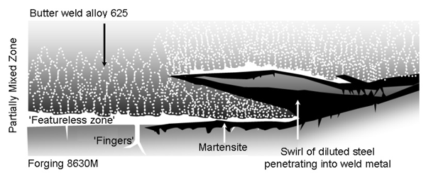 Figure 1 - Illustration of typical micro-scale regions at the 8630M-625 buttering interface (Adapted from [5]).