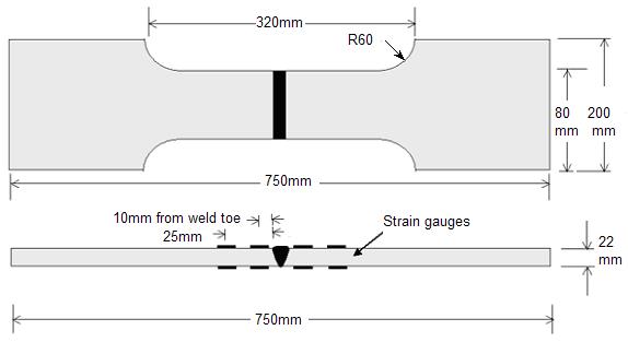 Figure 2 Small-scale strip specimen