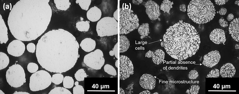 Fig. 3 Optical micrographs of the cross section of gas-atomized AA7075 powder unetched (a) and after etching for 5 s with Keller’s etchant (b) revealing a dendritic microstructure