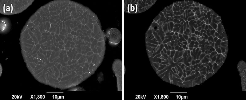 Fig. 4 SEM micrographs of an as-received AA7075 particle in cross section, in secondary electrons (a) and backscattered electrons (b), revealing a composition variation between interdendritic regions and matrix