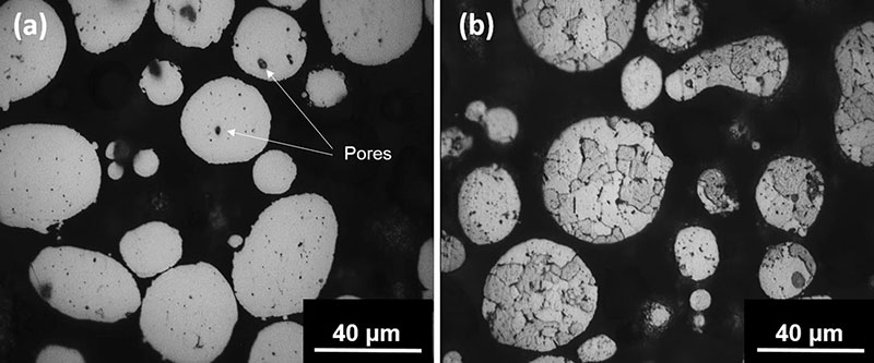 Fig. 6 SEM micrographs of an as-received AA7075 particle in cross section. Secondary electrons (a) and backscattered electrons (b) revealing a dissolution of the dendrites after heat treatment