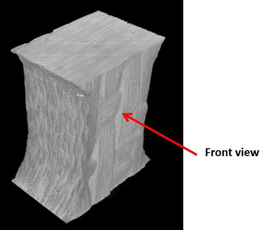 Figure 2. Three dimensional view of the specimen gauge section prior to loading