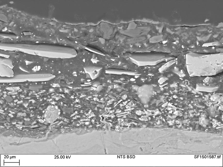 Backscattered SEM image of cross-sectioned specimen 