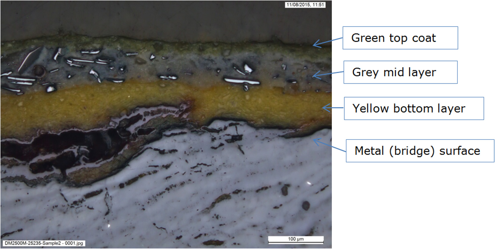 Cross sectional image of a paint flake using optical microscopy 