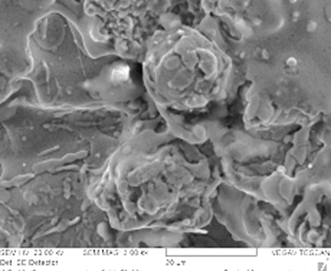 Surface morphology of LPPS coating