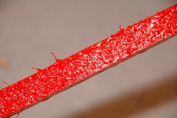 Coatings Image - red paint