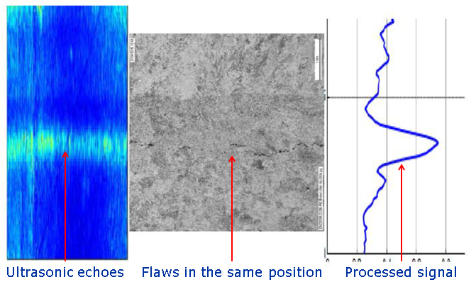 Verification of signals against sectioning of specimens with creep damage 