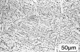 Solved 1 The microstructures of the samples to be observed  Cheggcom