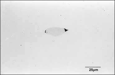 Fig.1. Different inclusion types Fig.1a) Type I manganese sulphide particle with (darker) silicate