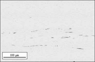 Fig.1b) Type II manganese sulphides