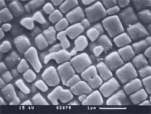 Fig.2. Scanning electron micrograph of the ?' phase in a directionally-solidified blade Courtesy of Kawasaki Heavy Industries Ltd 