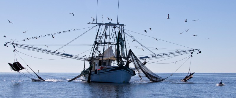 New Ice Making System to Offer a Low Cost, Environmentally Friendly Solution for Fishing Boats