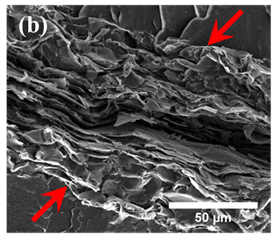 Graphene nanoplatelet paper sandwiched between two discs of polyamide 11