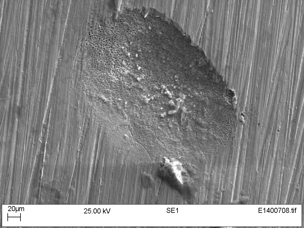 Figure 1 (a) Photographs of the specimen assemblies used for pitting/crevice and stress corrosion cracking testing; (b) micrograph of a seawater crevice corrosion tested sample