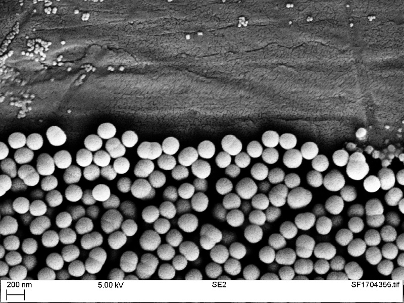 Nanoparticles