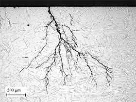 Stress corrosion cracking (SCC) in Type 316L stainless steel