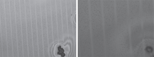 Fig. 2 Brightfield SEM images showing AR-N 7520-18 resist after EB exposure and developing. The small and large dark specks indicate poor dissolution of the absorber. The lines exposed to the EB are 5 μm wide and separated by 25 μm. The resist has be