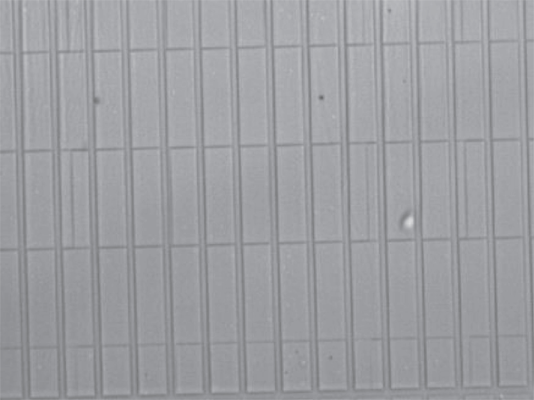 Fig. 5 Optical images showing 495PMMA A8 resist after EB exposure and developing. The lines exposed to the EB are 2.5μm wide and separated by 0.5μm wide tracks. It was exposed at 417 μC/cm2.